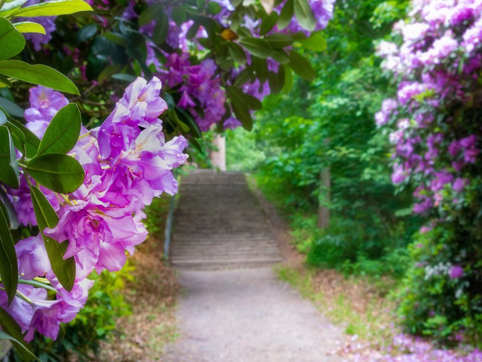 Botanical Garden