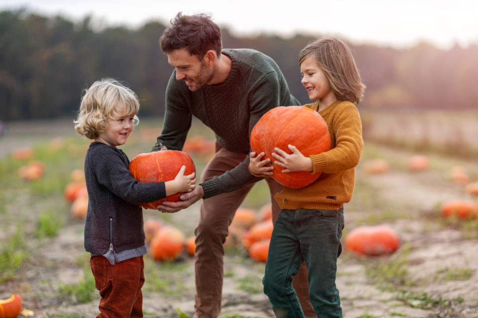 Father and sons in pumpkin patch field