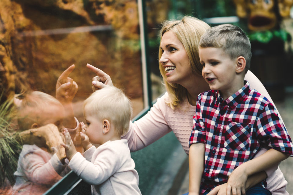 Mother with her sons looking at turtle in zoo