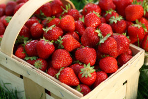 Basket of Spring Strawberries. Trunnel's Farm Market in Owensboro