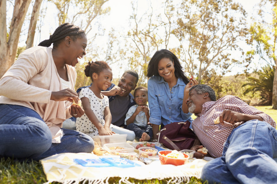 Multi Generation Family Enjoying Picnic In Park Together