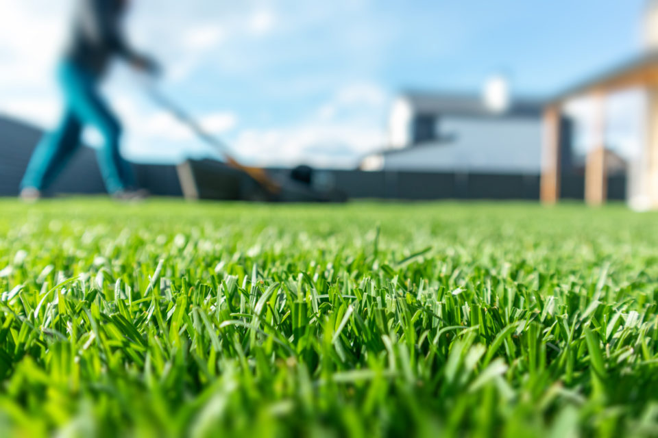 Spring season sunny lawn mowing in the garden