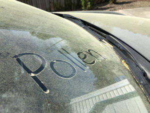 Pollen written on Car Windshield